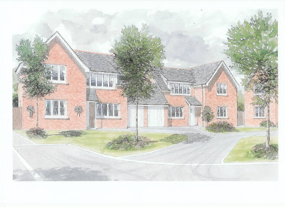 Click photo to go to details